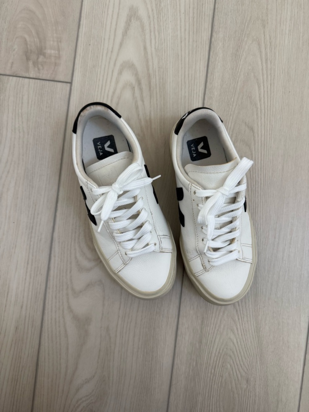 Veja Campo Sneakers - Picture 2 of 7